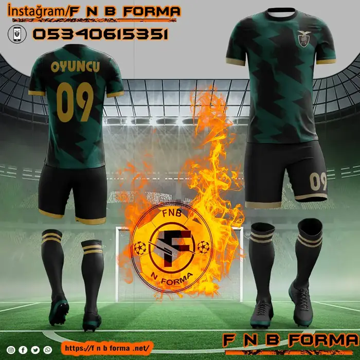 Forma 11